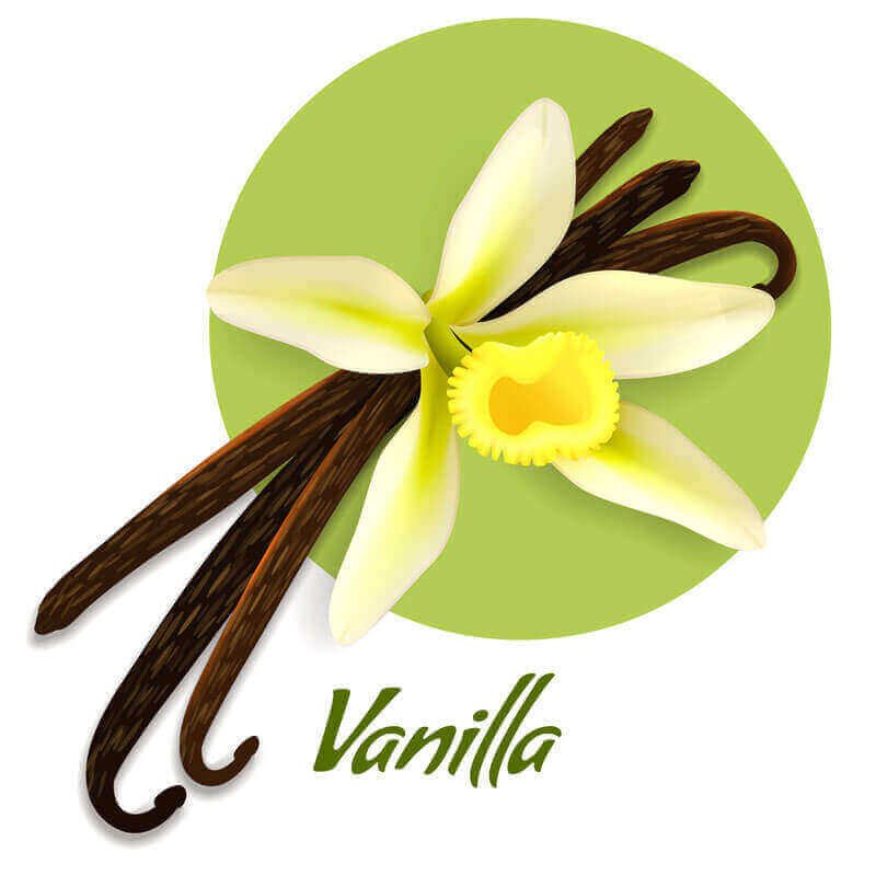 Vanilla Flavor